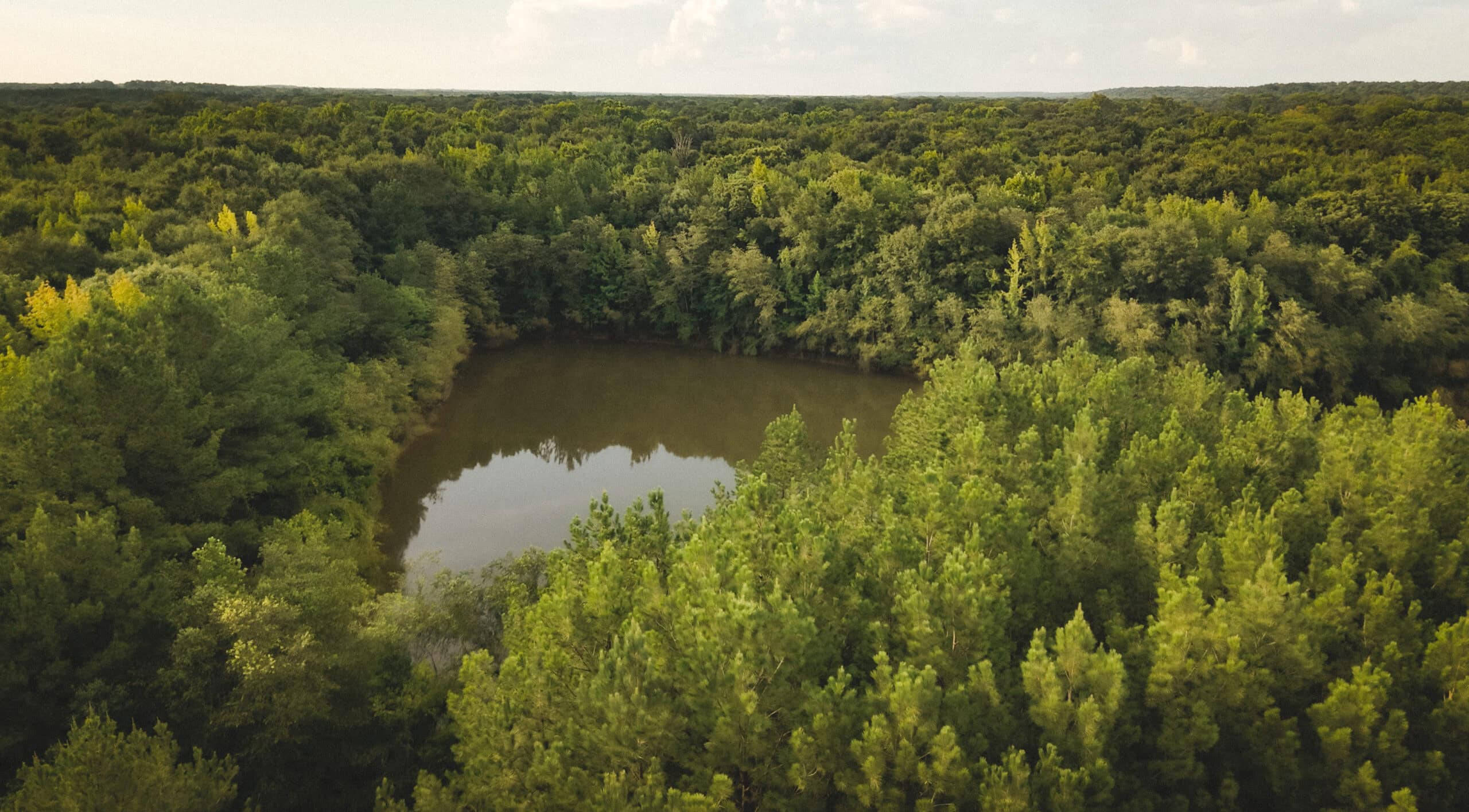 River Trails 127 | 127 Acres | Montezuma, GA